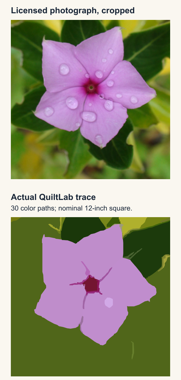 The licensed flower photograph cropped square above its actual QuiltLab trace, where broad pink petals and a dark center remain while most small droplets disappear